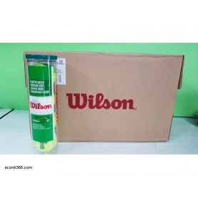Wilson Cartone con 18 tubi da 4 palline Starter Play Green-Art. WRT137400/18