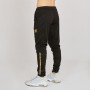Leone 1947 Pantalone Unisex DNA, Training/All Sport -  01 (Nero/Oro)