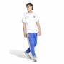 Adidas T-Shirt Uomo FIGC Italy DNA - Colore : Bianco/Oro