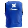 Zeus Casacca Promo, Senior, confezione da 10 casacche -COLORE (AZZURRO)